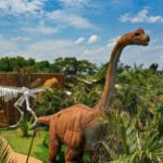 vale-dos-dinossauros-olimpia-2